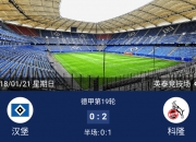 开云体育中国官网-汉诺威遭遇失利，降级形势越发严峻的简单介绍