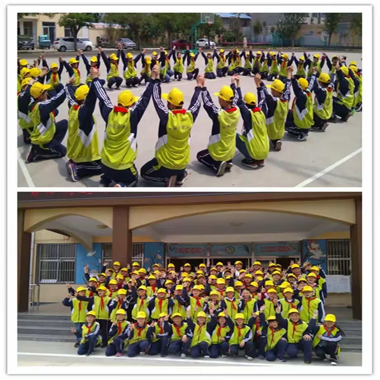 波兰队奋勇拼搏，期待一飞冲天的简单介绍