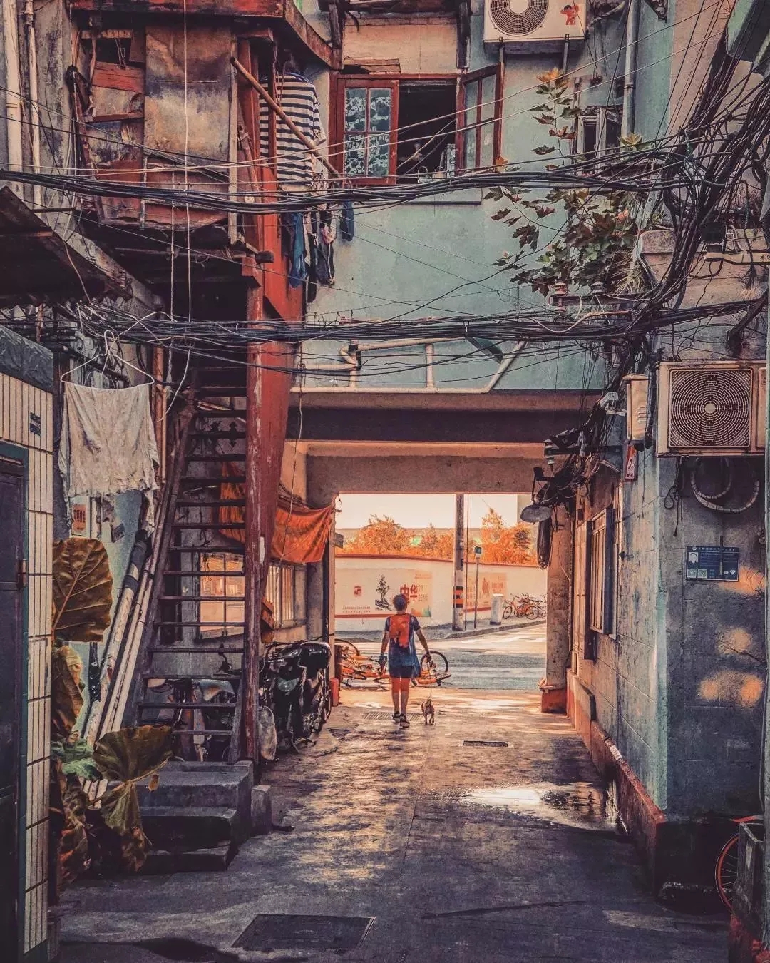 德国以惊艳表现力压保加利亚