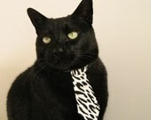 东决关键战焦点战,中国女篮碾压荷兰,展现亚洲篮球新高度