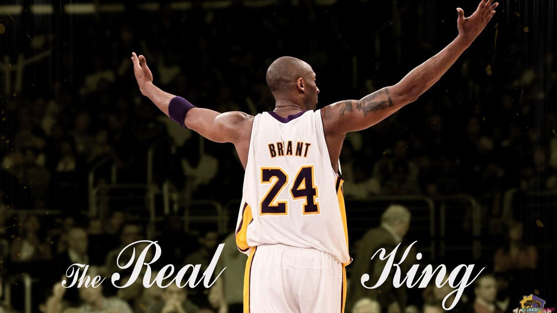 密尔沃基雄鹿对阵上海大鲨鱼，小贾伦·杰克逊攻防两端的统治级表演